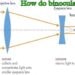 How do binoculars work